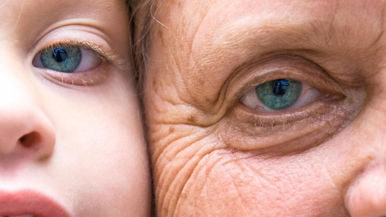 Küresel yaşam süresi pandemi öncesi düzeye yaklaştı